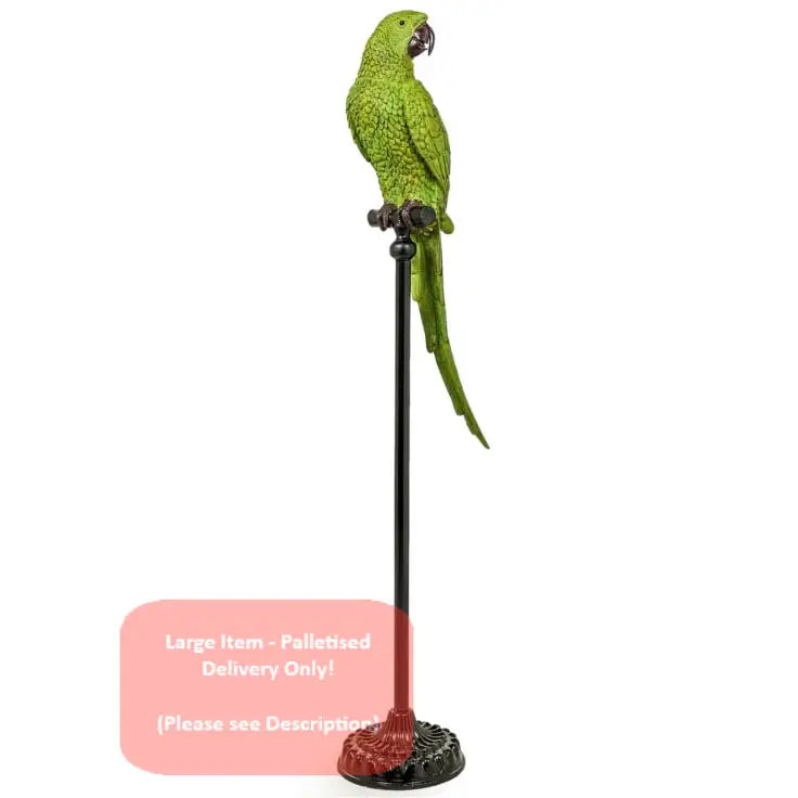 Large Green Parrot On Floor Standing Perch