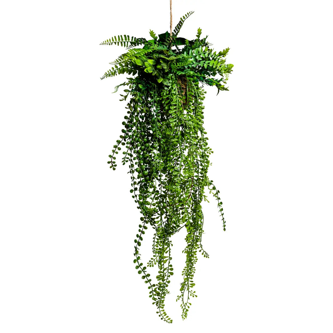 Ornamental Hanging Air plant Vine Arrangement