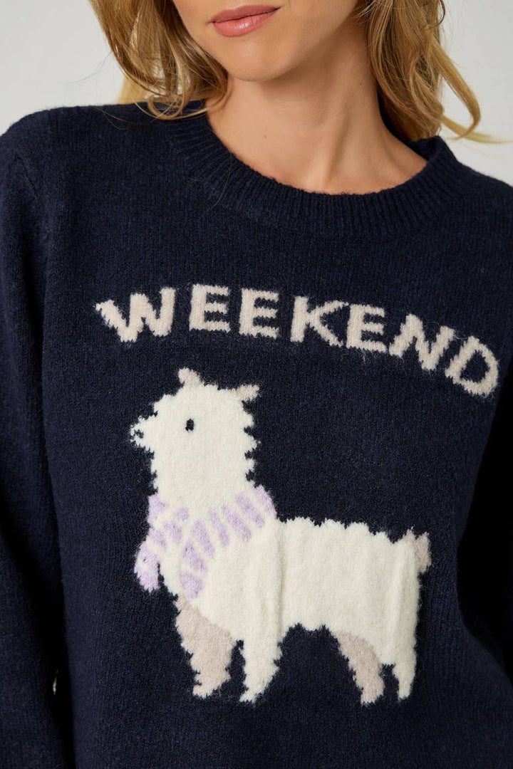 Navy blue sweater with llama graphic and 'Weekend' text on a plain background