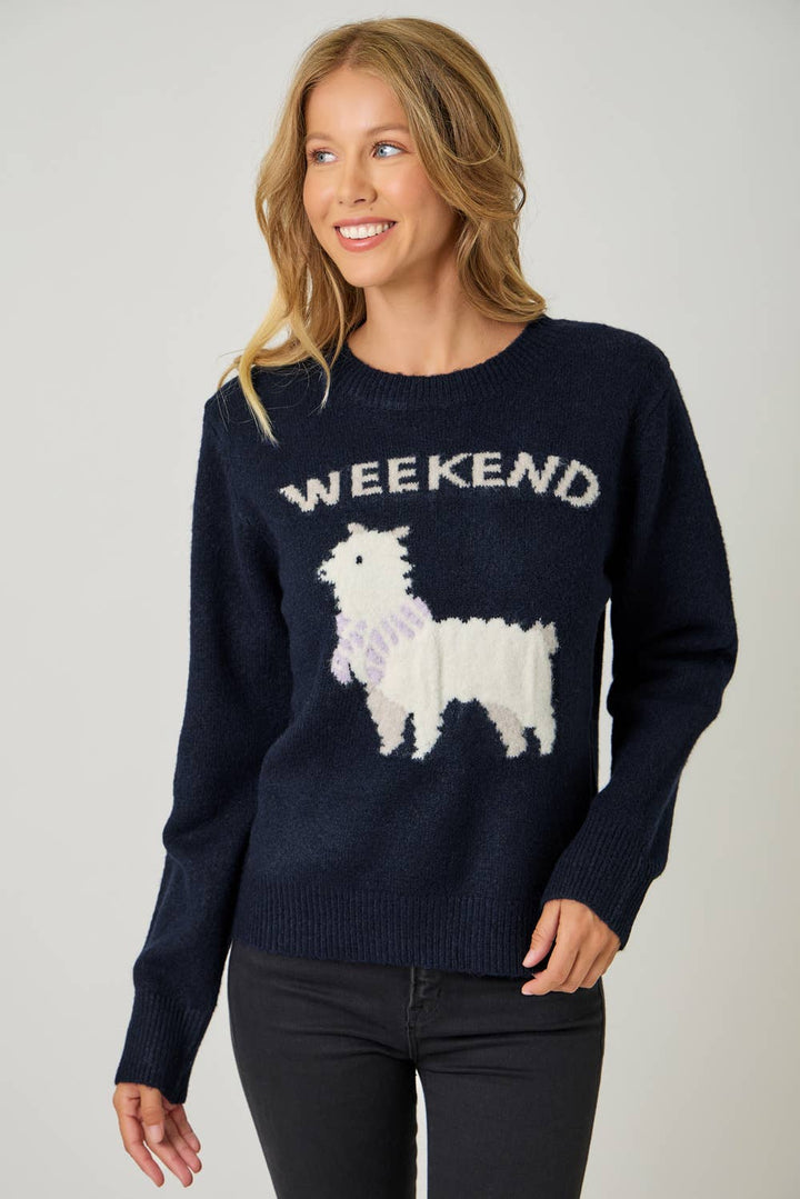 Woman wearing a navy sweater with 'Weekend' and a llama design on a plain background