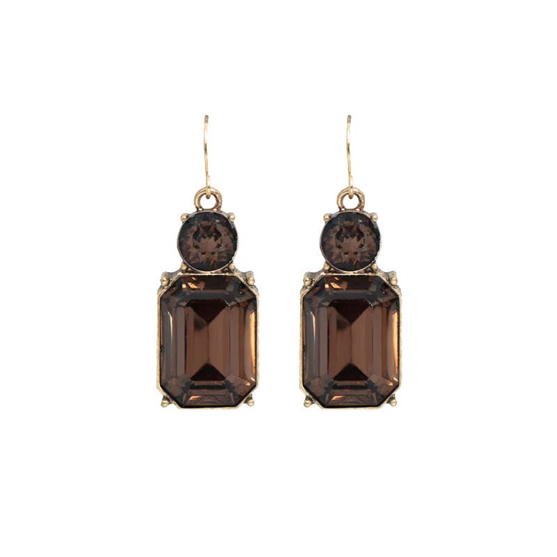 Pair of earrings with brown gemstones on a white background